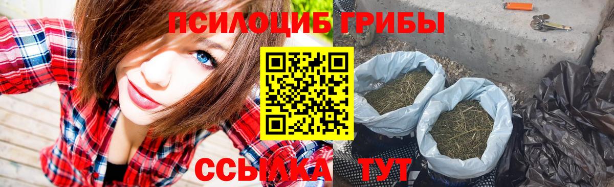 Псилоцибиновые грибы MAGIC MUSHROOMS Добрянка